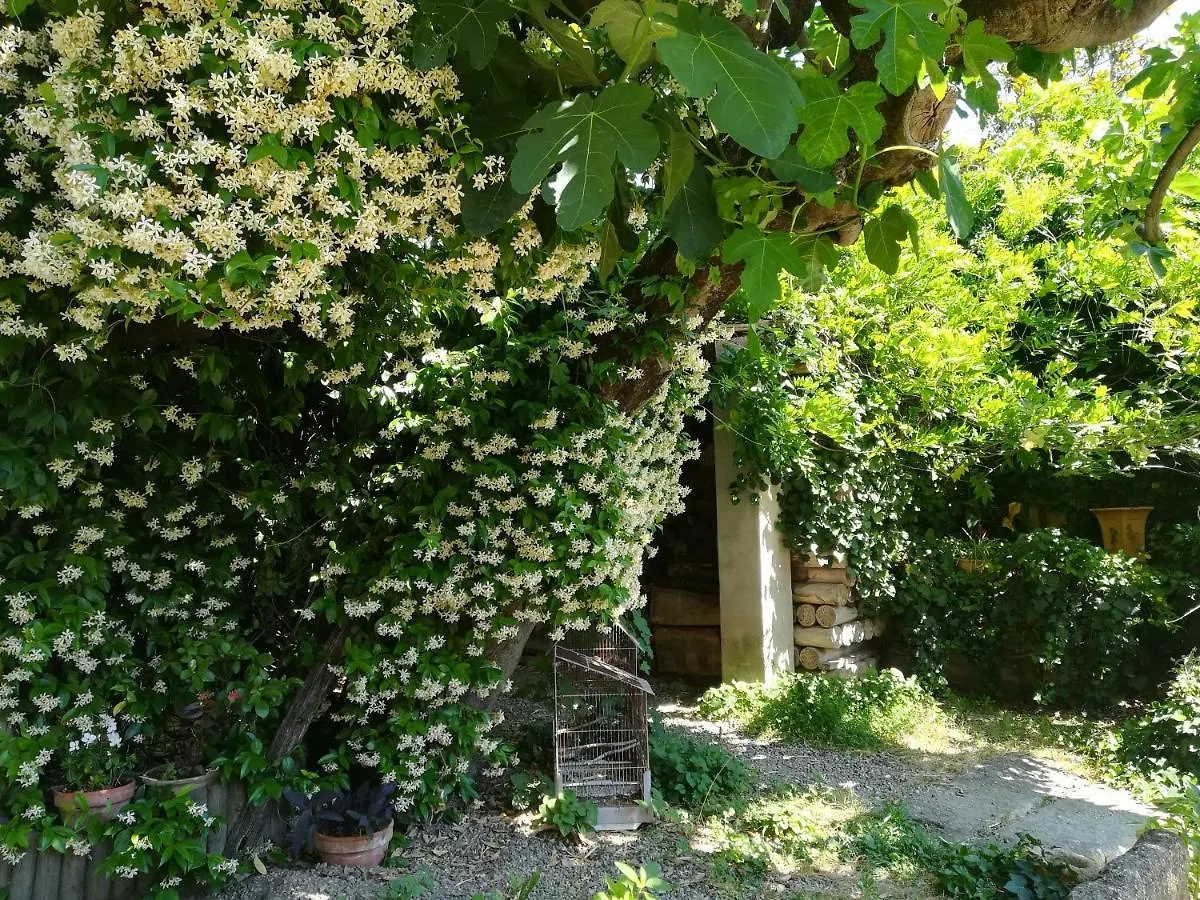 La Figuiere Apartment Courthezon France